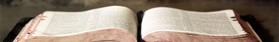 Bible Study Resources